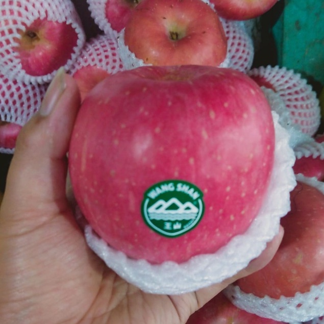 

Apel Fuji Wangsan Buah segar
