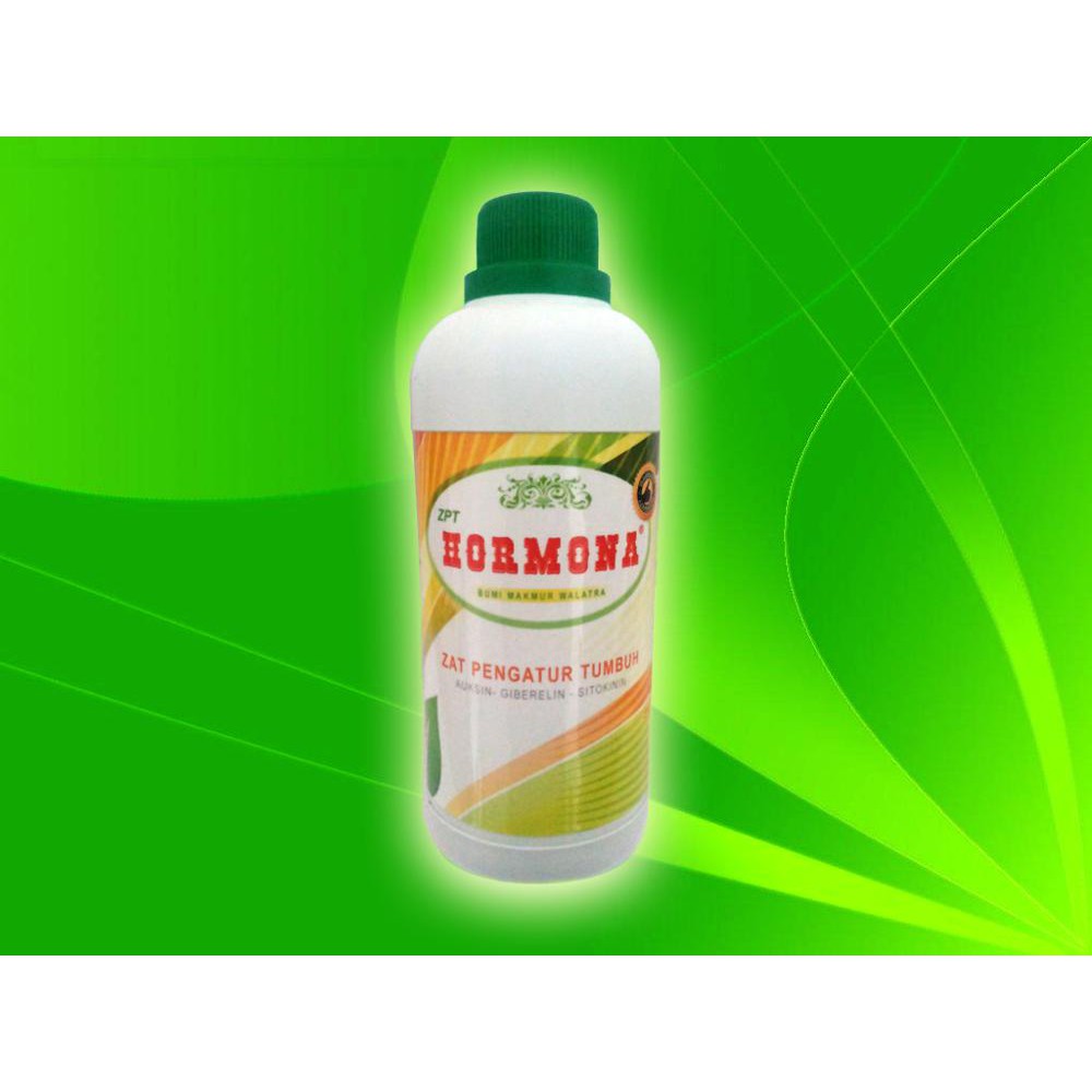 ZAT PERANGSANG PERTUMBUHAN HORMONA