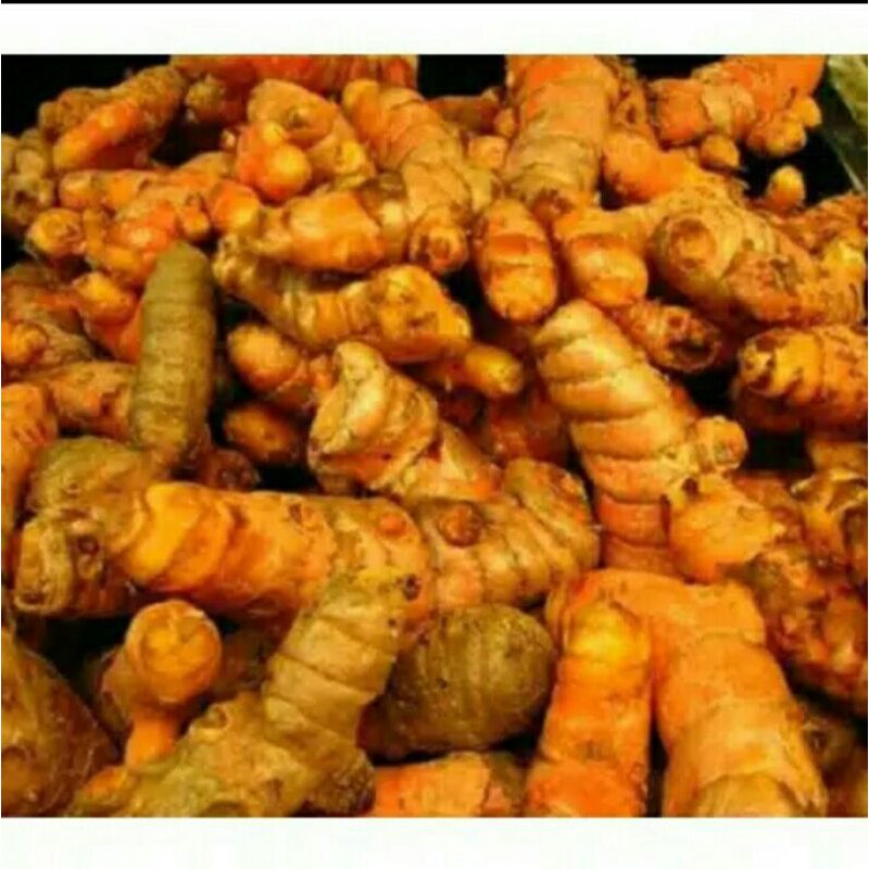 

Puri Segar Shop, Kunyit Segar 250 Gram