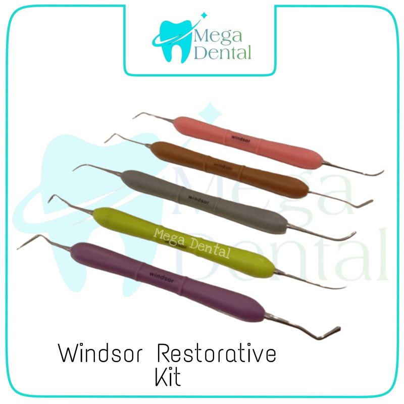 Windsor Kit Instrument Restorarive Set