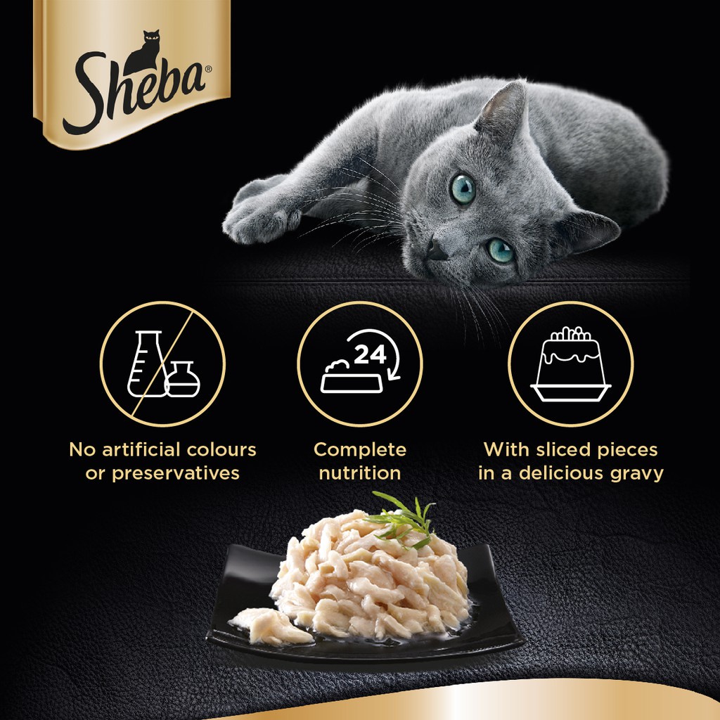 Sheba Pouch Chicken Tuna  Makanan Kucing Basah Wet Food 70gr
