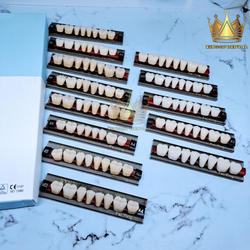 Synthetic Gigi Palsu Geraham Bawah