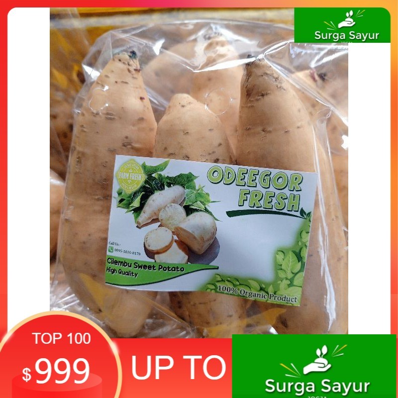 

SURGA SAYUR Ubi Cilembu Organik 250gr,, UTK SEJABODETABEK BISA KIRIM INSTANT DGN GOSEND/GRAB