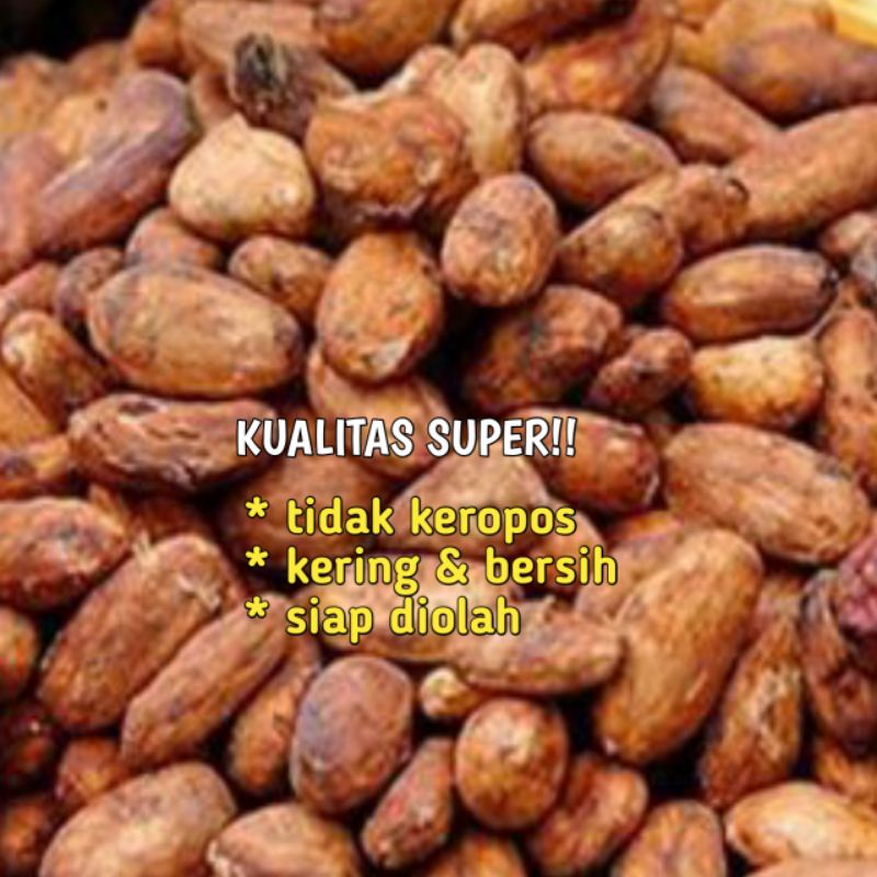 

Biji kakao/coklat kering kualitas super