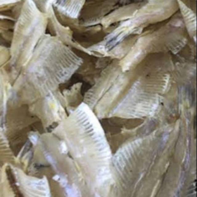 

Ikan asin Pakang grade 2 (500 gram)
