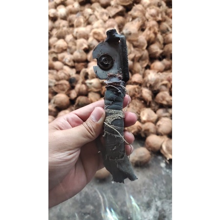 pisau kulit Ari kelapa