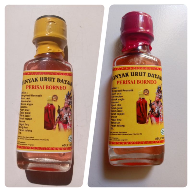 MINYAK URUT DAYAK  Original√√