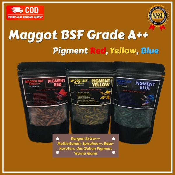 Maggot Kering BSF Grade A++ Pigment Yellow Pakan ikan predator channa maru asiatica  bukan el barca