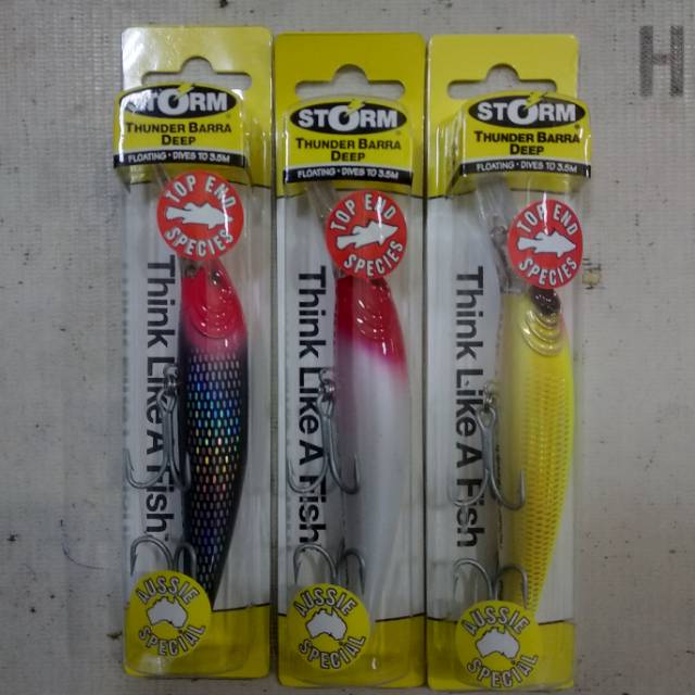 STORM THUNDER BARRA DEEP