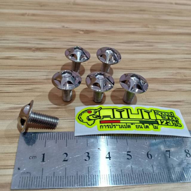 Baut probolt payung stainless chrome silver 6x15 fl
