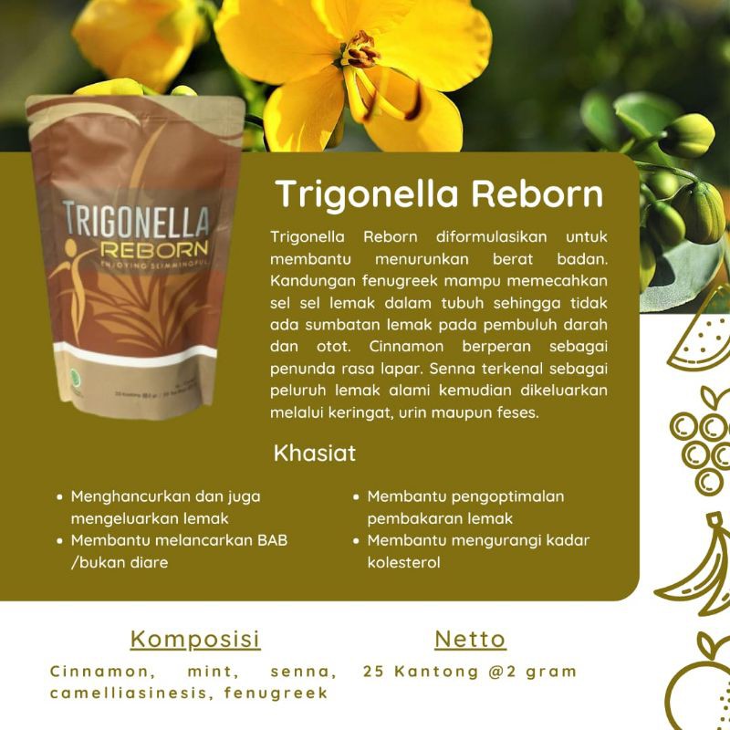 

trigonella reborn