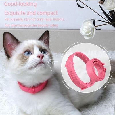 Anti Flea Ticks Collar - Kalung Pelindung Kutu