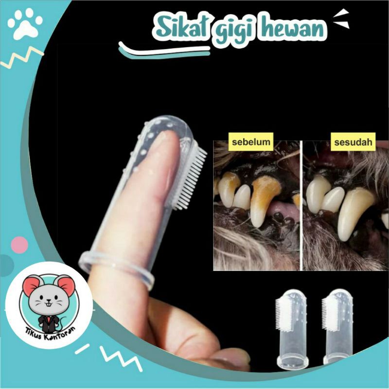 Sikat Gigi JARI / SIKAT GIGI  Kucing / SIKAT GIGI Anjing / Sikat Gigi Hewan / Odol Kucing
