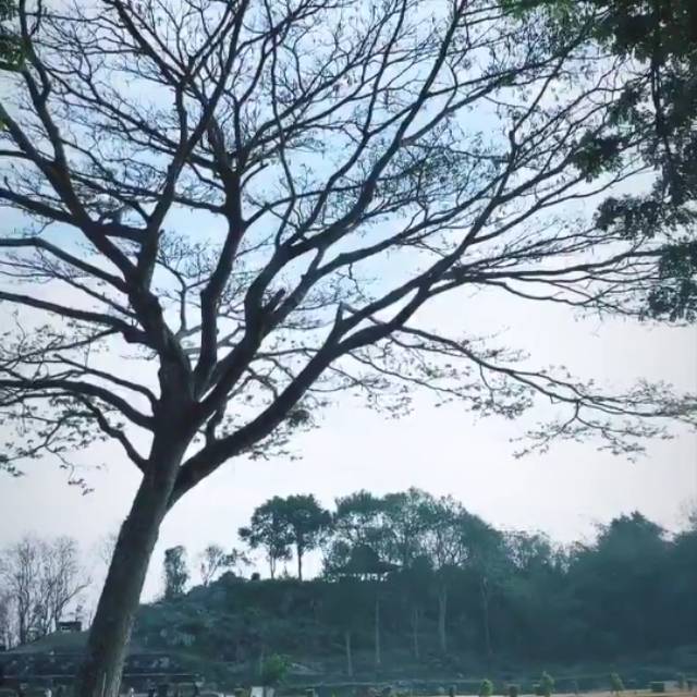 sakinahkinah89