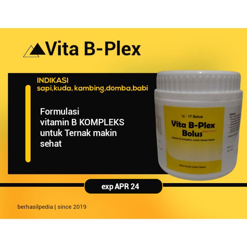 Vita B-Plex Bolus medion vitamin b kompleksb komplek untuk sapi kambing domba kuda