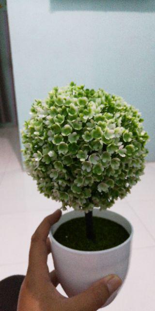 Hc A1-144 Sedotan Stainless Set 5 In 1 / Sedotan Minuman Stainless Lengkap Sedotan Set Steel Straw