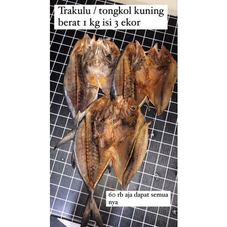 trakulu atau tongkol kuning berat 1 kg