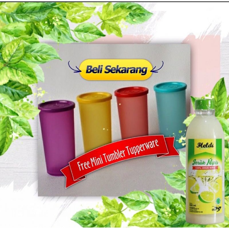 jeniper jeruk nipis peras