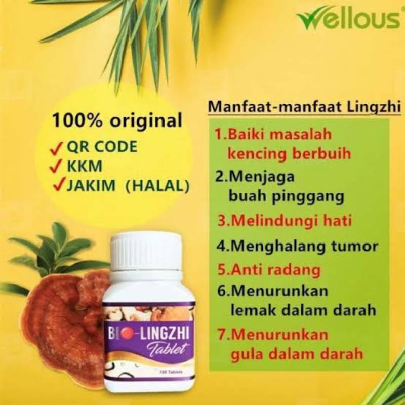 Bio-lingzhi Obat Herbal Original Asli