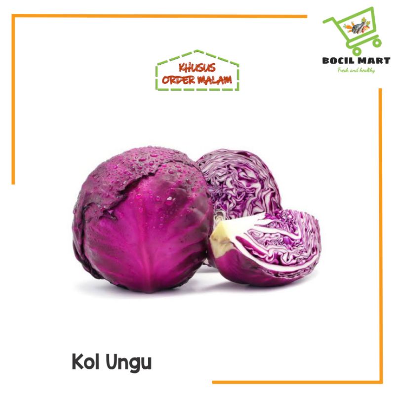 

[BOCIL MART] KOL UNGU / KOL MERAH / KUBIS UNGU