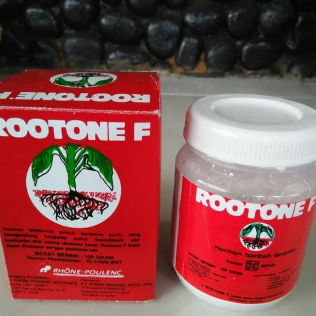 Rootone f obat perangsang akar