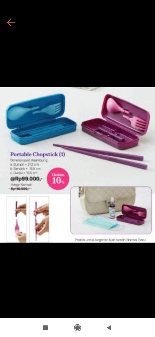 Portable Chopstick (1)