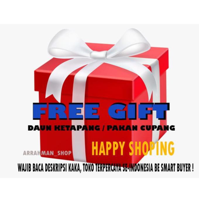 Terbaru Cupang - Ikan Cupang Halfmoon Big Ear Size L Gede Random