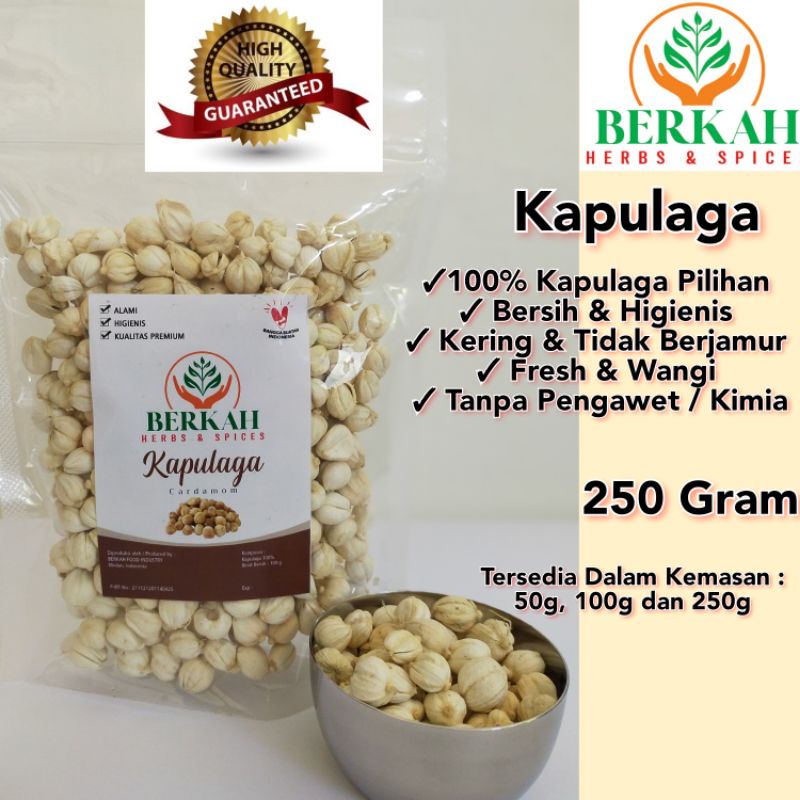 

Kapulaga Putih Lokal Pilihan Berkah 250Gr Cardamom Rempah Jsr Kualitas Premium Terbaik