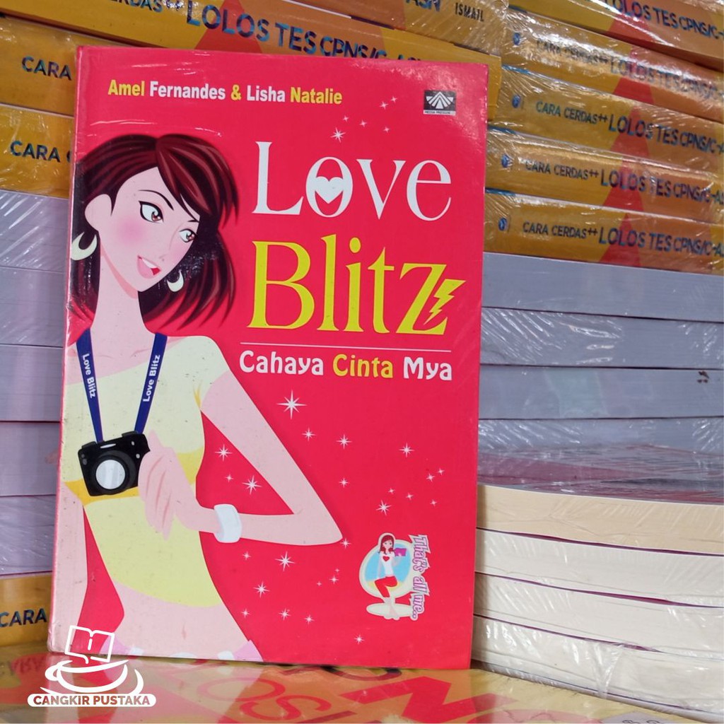 Novel - Love Blitz