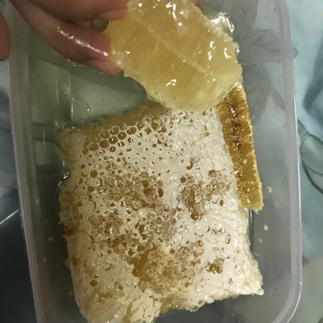 

Sarang lebah madu / propolis
