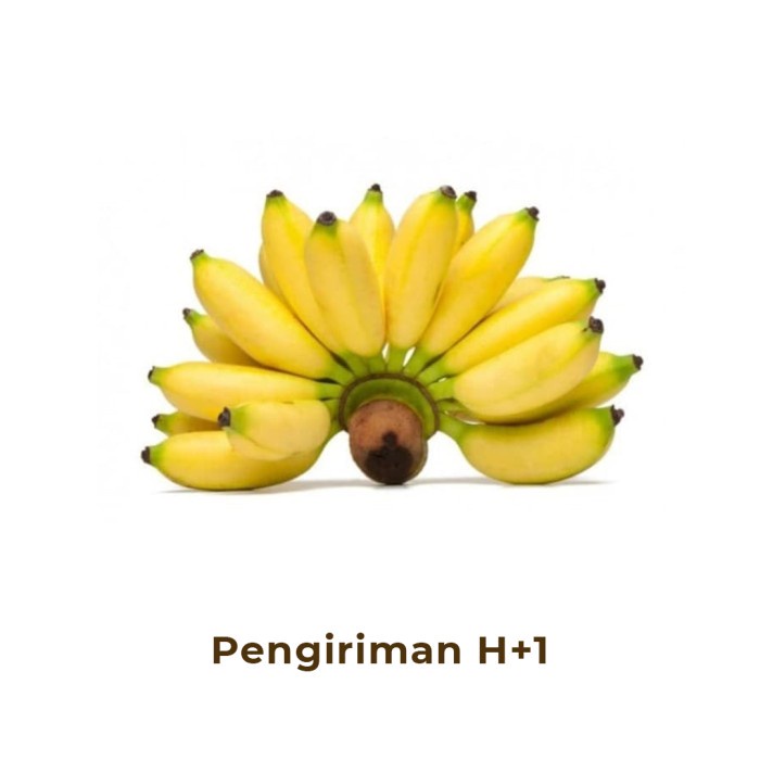 

Pisang Emas Segar 1 Sisir