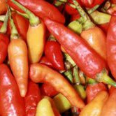 

Buah cabai merah frsh cabai sambal per 500gram