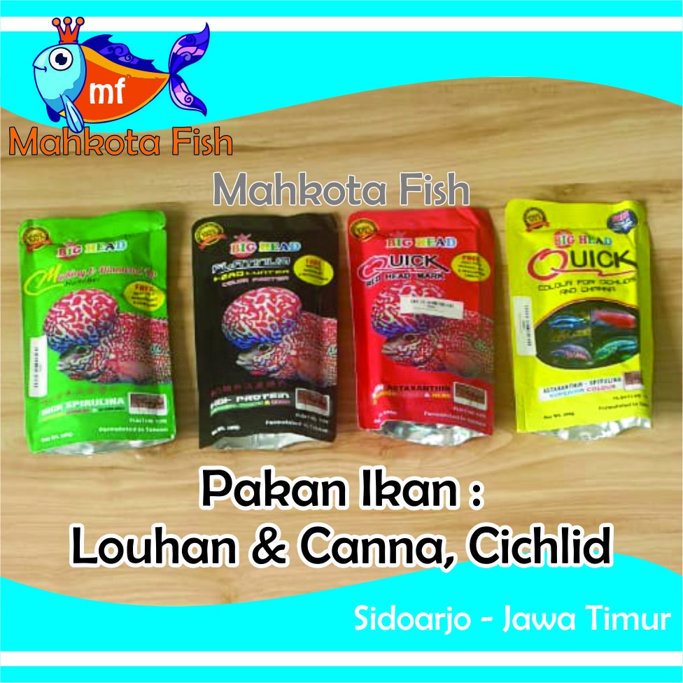 Pakan Ikan BIG HEAD OKIKO 100gr | Pakan LOHAN LOUHAN | Pakan CHANNA CANA CICHLID | Makankan Ikan | Pelet Ikan Hias