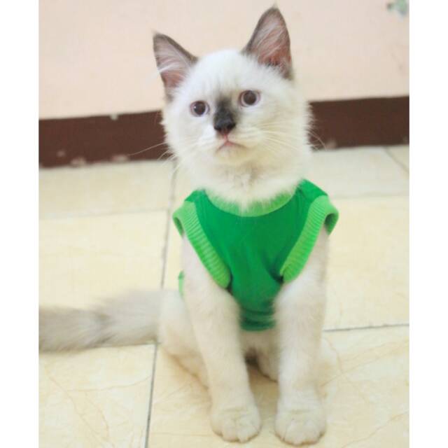 Kaos Rip hijau untuk kucing dan anjing murah meriah / baju kucing kekinian / size S M L XL