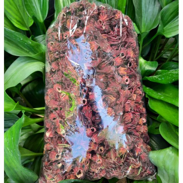 

500 gram Bunga Rosela Rosella Kering Basah Segar grade A