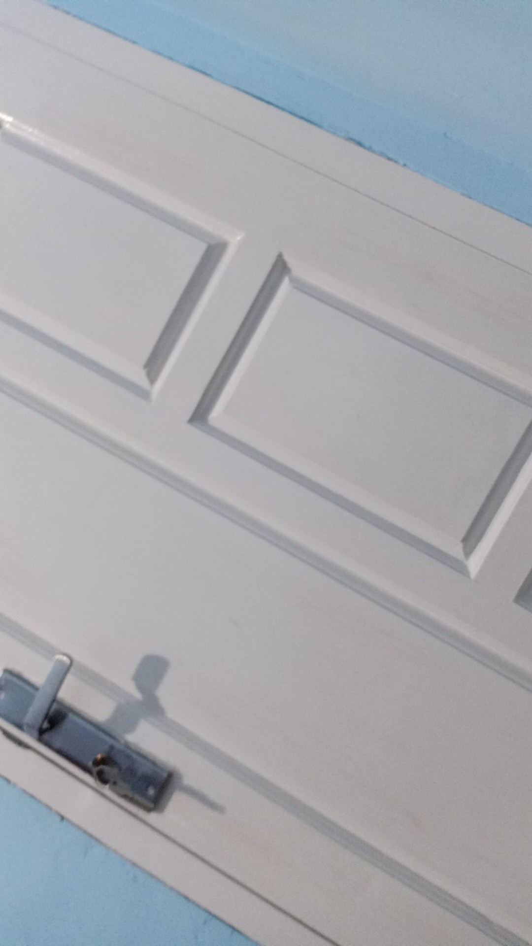 Tanaman Hias Taman Bougenville Putih