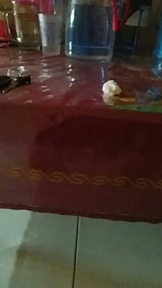 Pembersih Debu Pakaian Pembersih Debu Ketombe Mini Lint Roller Travel Dust Roller