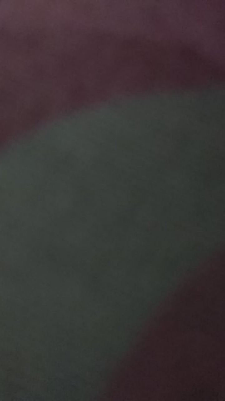 Cat Tembok Aries (4.5 Kg)