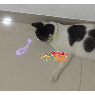 Mainan Kucing Laser Lampu Senter Bentuk Tikus / Tulang Ikan / Cakar