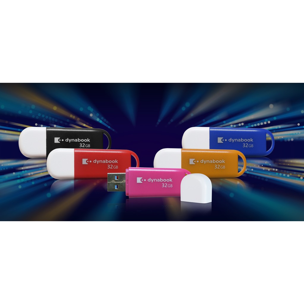 Flashdisk Dynabook 16GB