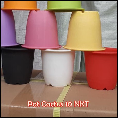 Pot Kaktus Nkt 10 Putih Pot Cactus Nkt 10 Cm Putih Pot Plastik Putih Bibit Kaktus Putih Tanaman