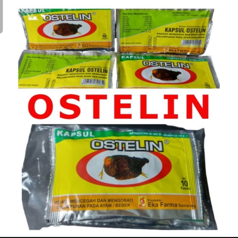 2 SASET OSTELIN 20 BUTIR OBAT AYAM LUMPUH LEMAS VITAMIN TULANG KAKI SAYAP BURUNG MERPATI KALEK CALCIUM TULANG ASLI ORI EKA FARMA