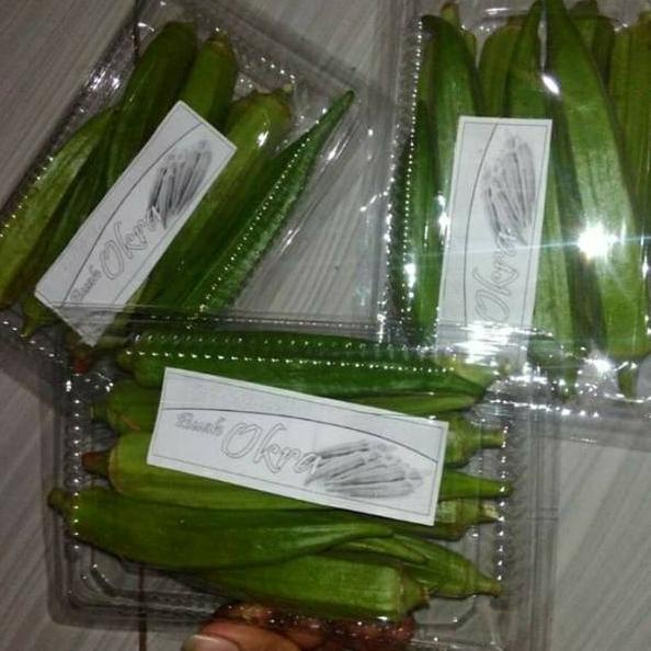 

(iunf -59) Buah okra hijau segar 752MKLD