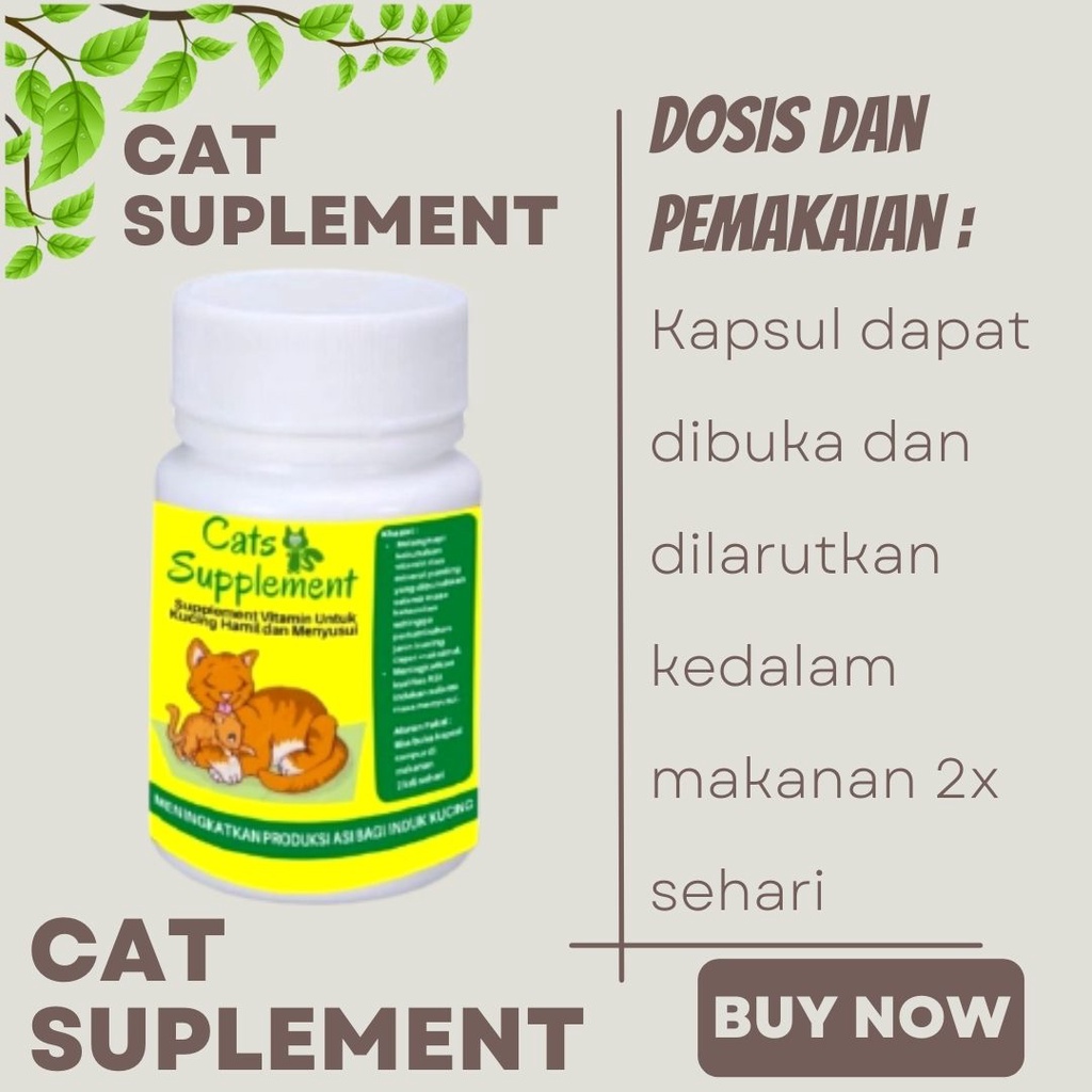 Vitamin Induk Kucing Hamil Dan Menyusui FOR ASI FEZONE