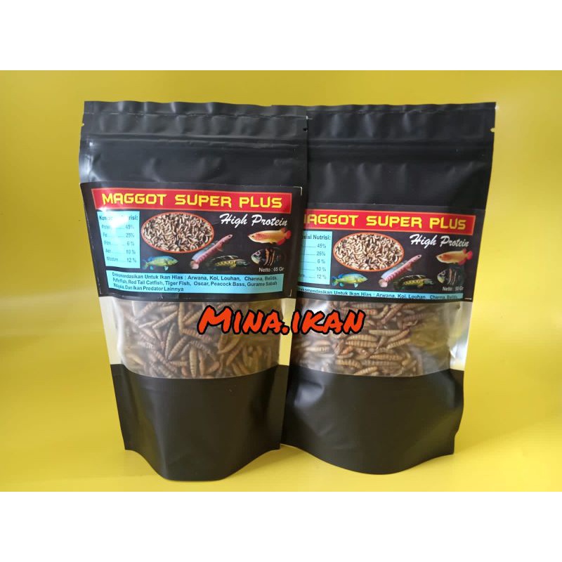 Maggot Super Plus 50g Ulat Hongkong Pakan Arwana Louhan Channa Predator Chana Cana Arowana.
