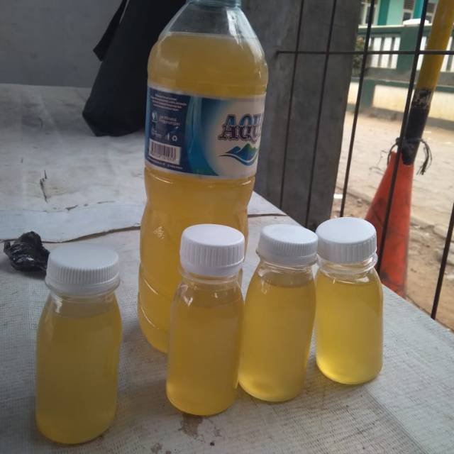 

Madu Asli Ujungkulon