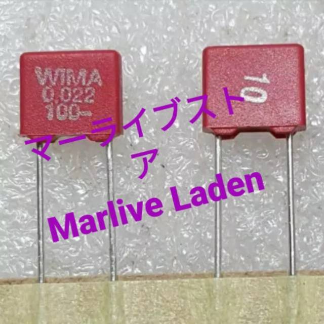 Wima 22N 0.022UF 100V P.5mm Audio grade