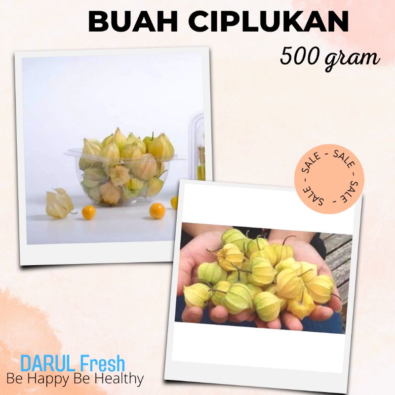 

Buah Ciplukan | Cecenet | Golden Berry 500 Gr