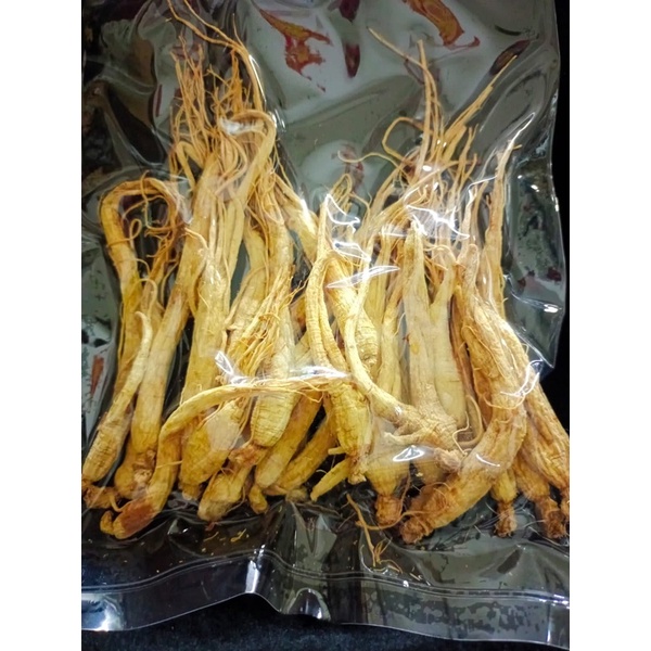 

Ginseng muda dewasa 大干参100 gram