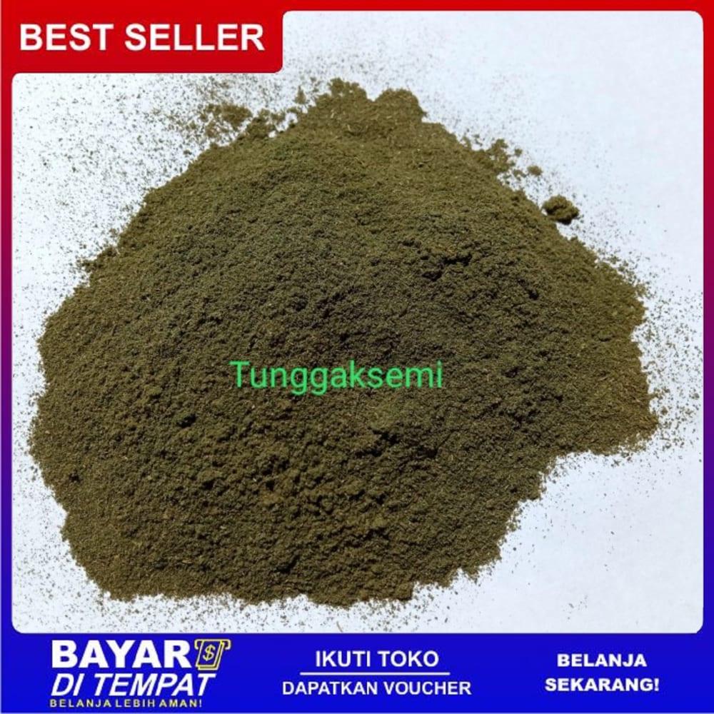 

Ts Murah DAUN SENDOK BUBUK 500g Herbal ISPA Peluruh Kencing Darah Bisul Empedu